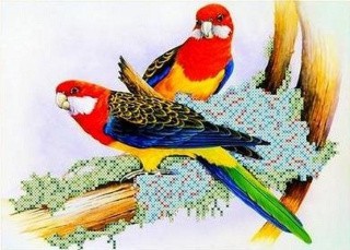 Рисунок на ткани «Попугаи»