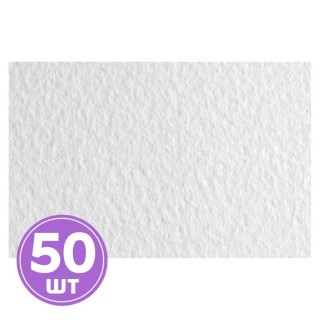 Бумага для пастели «Tiziano», 160 г/м2, A4, 21х29,7 см, 50 листов, цвет: 21297101 bianco/белый, Fabriano