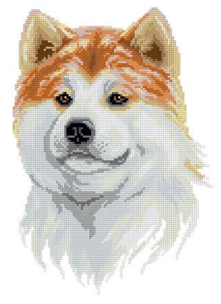 Алмазная вышивка «Дружелюбный акита-ину» Алмазная вышивка «Дружелюбный акита-ину»