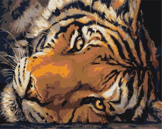 Картина по номерам «Тигриное спокойствие»