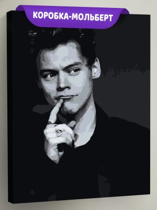 Картина по номерам «Гарри Стайлс»