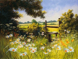 Алмазная вышивка «Поле ромашек» Алмазная вышивка «Поле ромашек»