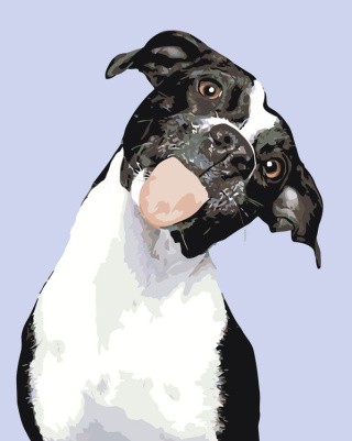 Картина по номерам «Куки» Картина по номерам «Куки»