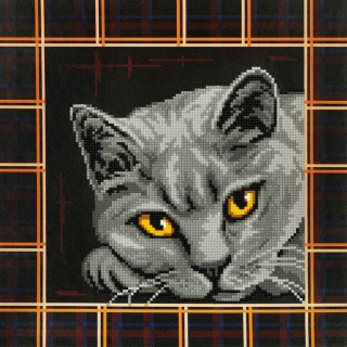 Алмазная вышивка «Британская кошка»