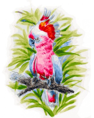 Картина по номерам «Розовый попугай»