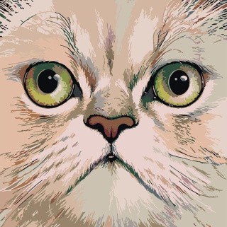 Картина по номерам «Британская короткошерстная» Картина по номерам «Британская короткошерстная»