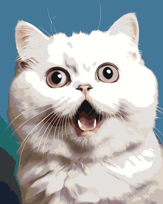 Картина по номерам «Удивленный белый кот»
