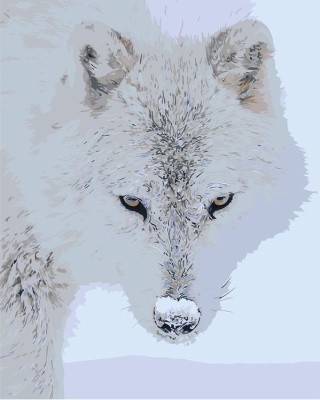 Картина по номерам «Полярный волк»