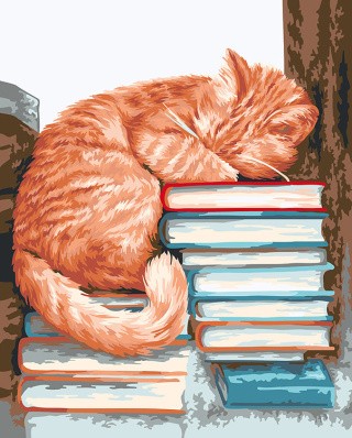 Картина по номерам «Мудрый кот»