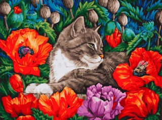 Картина по номерам «Кот в маках»