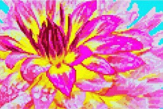 Алмазная вышивка «Утренняя свежесть» Алмазная вышивка «Утренняя свежесть»