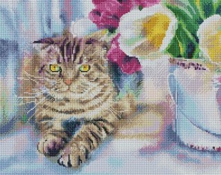 Алмазная вышивка «Кот и тюльпаны» Алмазная вышивка «Кот и тюльпаны»