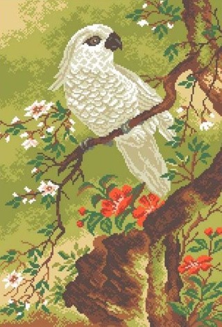 Рисунок на ткани «Белый попугай»