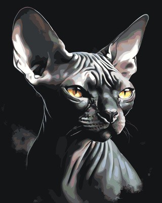 Картина по номерам «Черный кот сфинкс»
