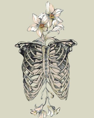 Картина по номерам «Скелет и цветы»