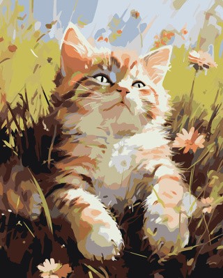 Картина по номерам «Котенок лежит в траве на полянке»