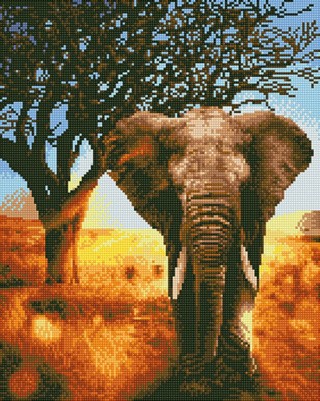 Алмазная вышивка «Слон в сафари»
