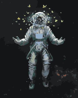 Картина по номерам «Бабочки в космосе»
