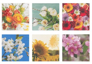 Салфетки бумажные «Наше яркое лето», 33x33 см, 6 шт., Love2art