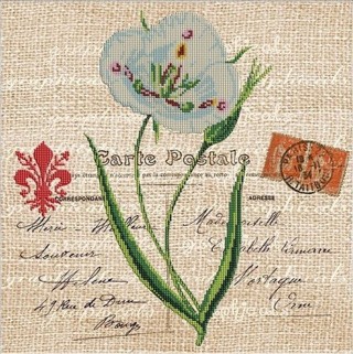 Рисунок на канве «Нежность цветка»