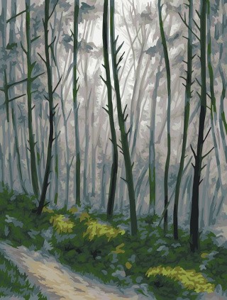 Картина по номерам «Таинственный лес»