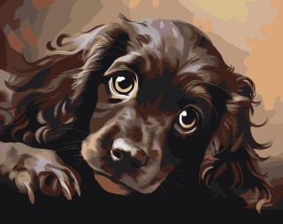 Картина по номерам «Собака Спаниель милый щенок»