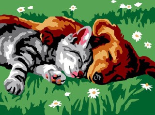 Картина по номерам «Котенок и щенок»