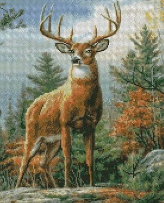 Алмазная вышивка «Олень гордый» Алмазная вышивка «Олень гордый»