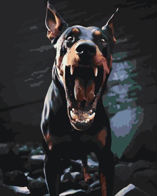 Картина по номерам «Собака доберман с открытой пастью 2»