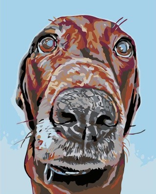 Картина по номерам «Джек» Картина по номерам «Джек»