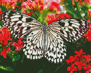 Алмазная вышивка «Белая бабочка»