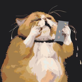 Картина по номерам «Толстый кот плачет»