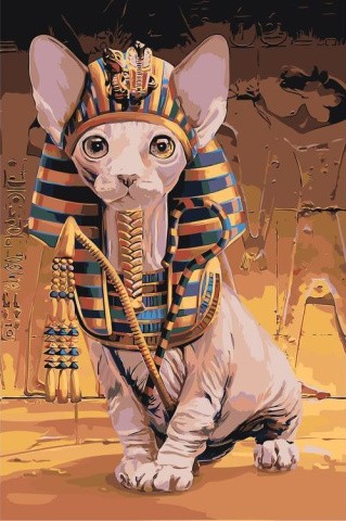 Картина по номерам «Кошачий фараон»