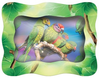 Объемная картина «Амазонские попугаи»