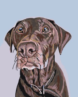 Картина по номерам «Джаспер» Картина по номерам «Джаспер»