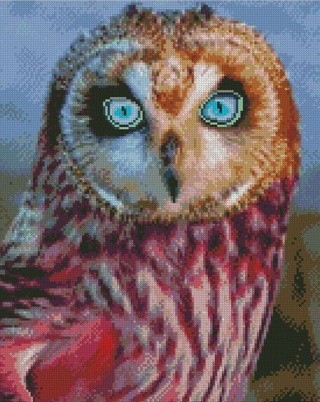 Алмазная вышивка «Прекрасная сова» Алмазная вышивка «Прекрасная сова»