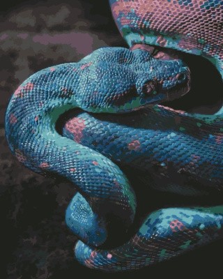 Картина по номерам «Манящая опасность» Картина по номерам «Манящая опасность»