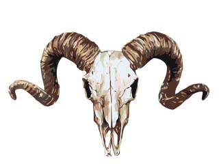 Картина по номерам «Бараний череп» Картина по номерам «Бараний череп»