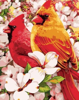 Картина по номерам «Кардиналы» Картина по номерам «Кардиналы»