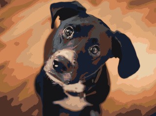 Картина по номерам «Верный друг» Картина по номерам «Верный друг»