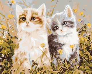 Картина по номерам «Два котёнка»