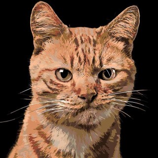 Картина по номерам «Рыжик» Картина по номерам «Рыжик»