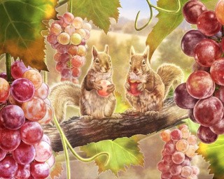 Картина по номерам «Белки с виноградом» Картина по номерам «Белки с виноградом»