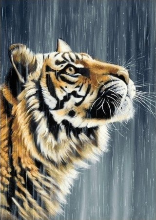 Алмазная вышивка «Индийский тигр» Алмазная вышивка «Индийский тигр»