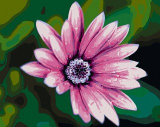 Картина по номерам «Цветок на зеленом фоне»