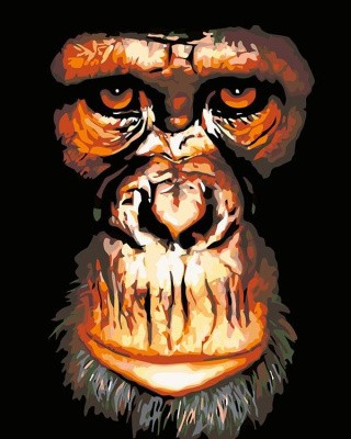 Картина по номерам «Портрет обезьяны»
