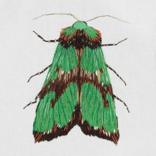 Набор для вышивания «Зеленый мотылек»