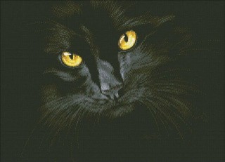 Алмазная вышивка «Черная кошка»