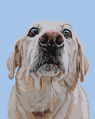 Картина по номерам «Генри» Картина по номерам «Генри»