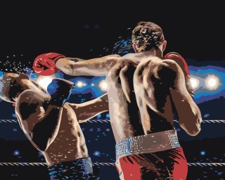 Картина по номерам «Бокс» Картина по номерам «Бокс»